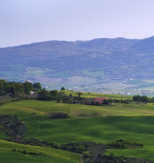 粉象生活升级规则