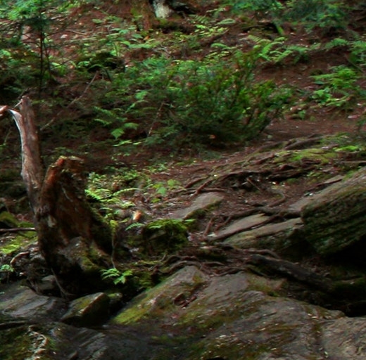 粉象生活是个什么东西