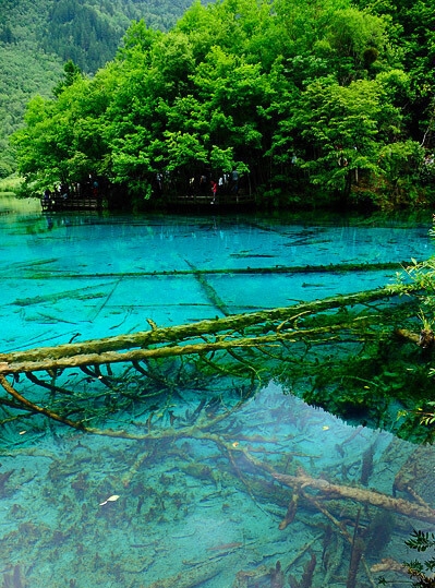 粉象生活买货