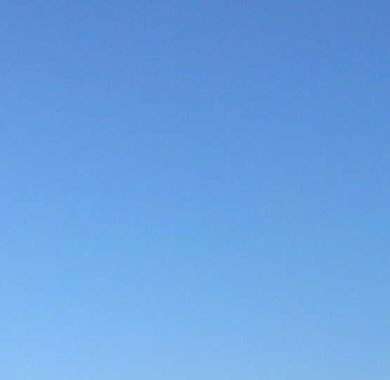 昭通粉象生活注册