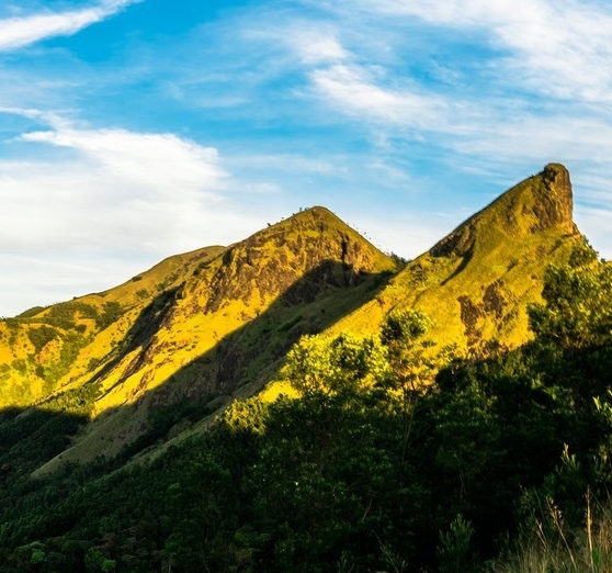 深圳粉象生活图片