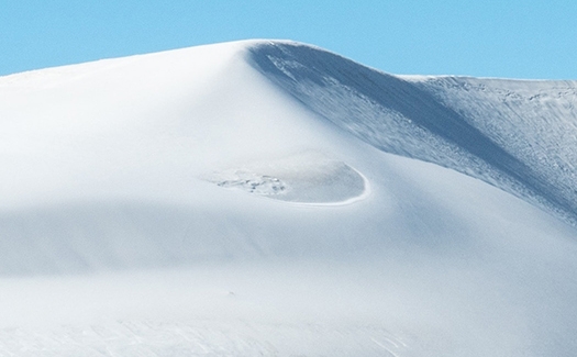 粉象生活乱发货不换货