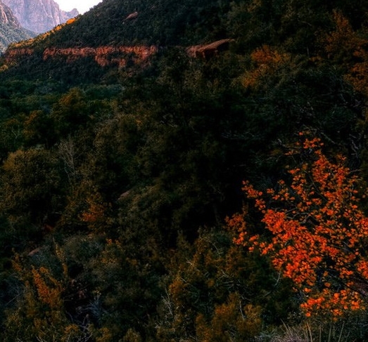 注册粉象生活有风险吗