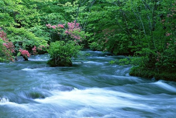 商家怎么加入粉象