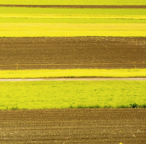 粉象生活粉丝买东西我能赚佣金吗