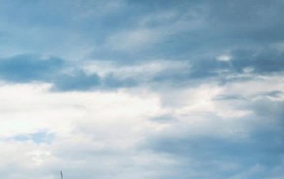 高佣联盟粉象生活优惠券