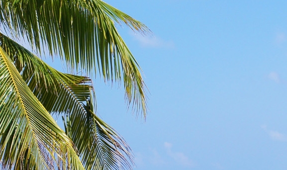 粉象生活无法登录