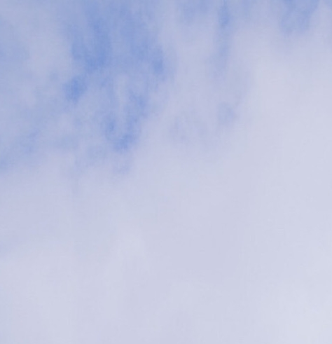 粉象生活最新排名