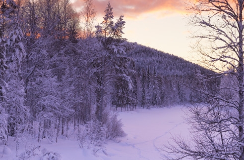 粉象生活新手怎么做