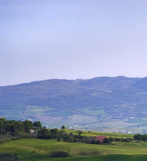 粉象生活如何添加邀请码
