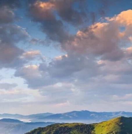 粉象生活的新用户有什么用