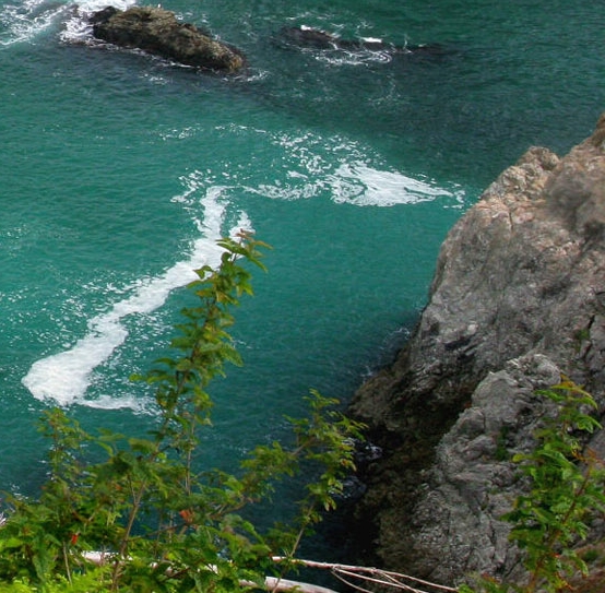 粉象生活怎么注册新号