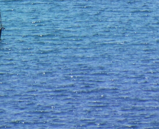 为什么粉象生活返佣金