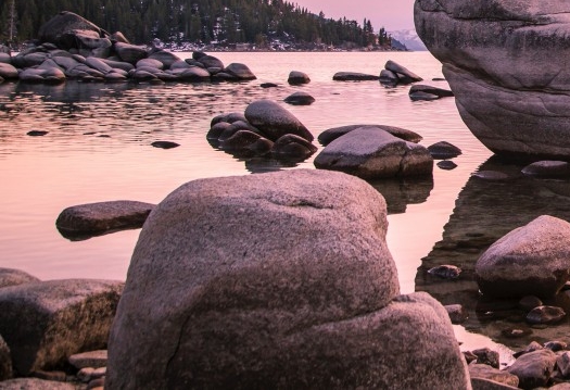 粉象生活下载app