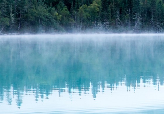 粉象生活需要邀请码吗