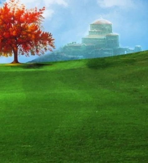 粉象生活下载app