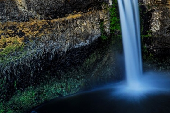 app粉象生活下载粉象生活