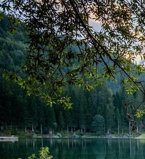 粉象生活邀请码填谁的最好