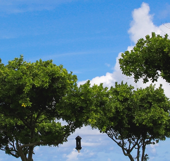 粉象生活要加入商家吗