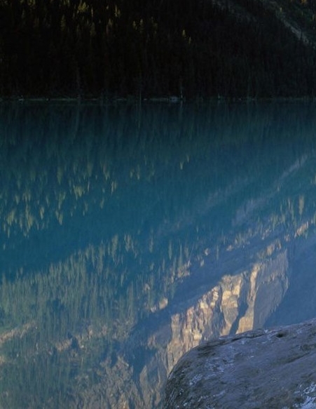 粉象生活退款多久到账