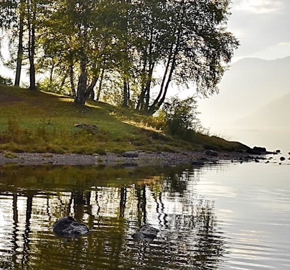 粉象生活友情码