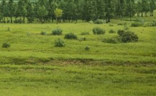 粉象生活是干嘛的APP