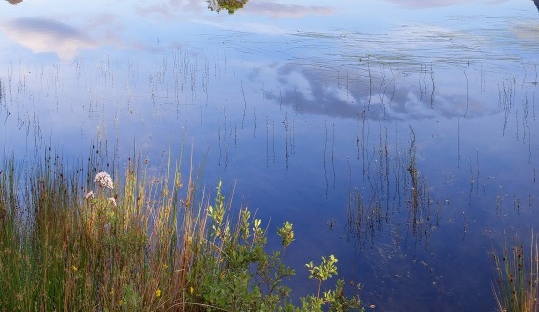 粉象生活邀请码