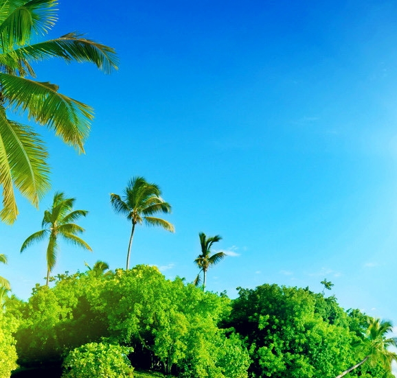 粉象生活加油打折怎么用