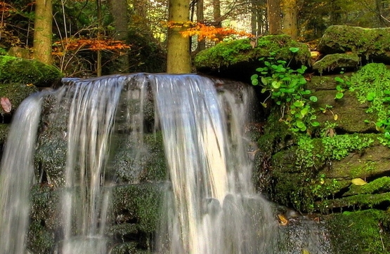 粉象为什么用邀请码