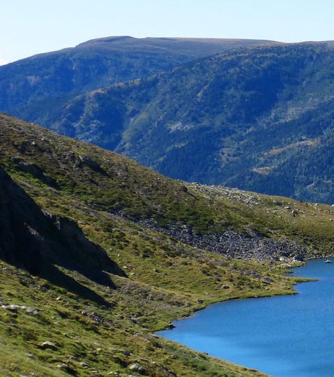粉象生活邀请码在哪里填写