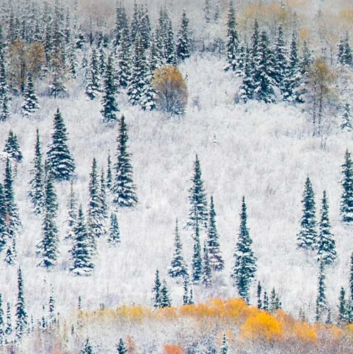 粉象生活赚佣金是真的吗