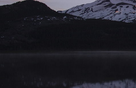 支付宝生活号怎么开通