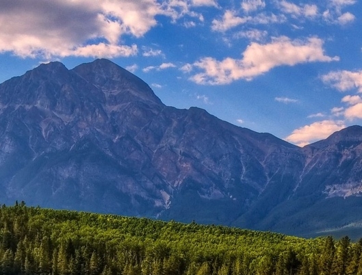 粉象生活里面的优惠券