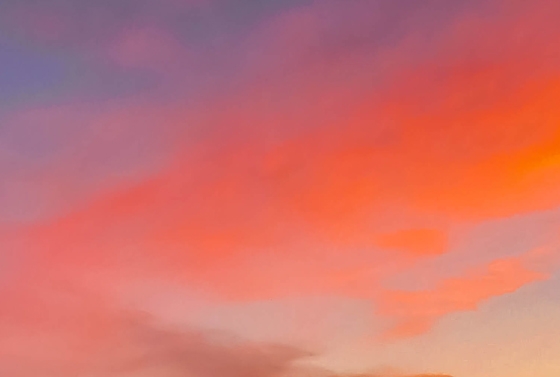 粉象生活怎么赚钱