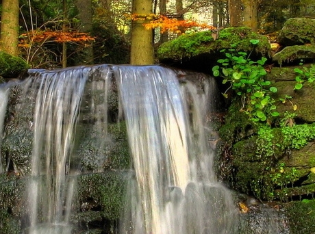 粉象生活怎么赚钱