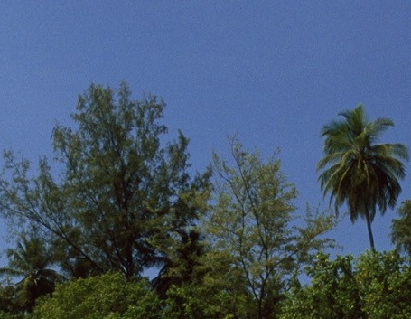 粉象生活邀请人错了能改过来吗