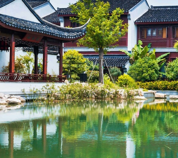 惠州粉象生活app