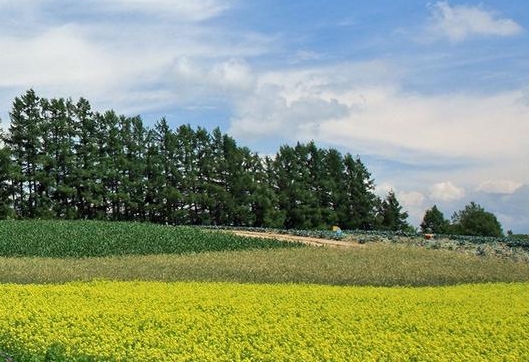 粉象生活新手怎么做