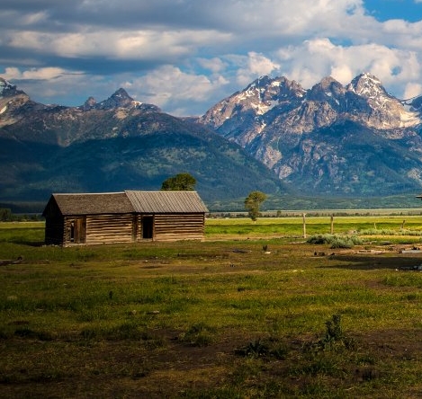 新象地板的口碑怎么样