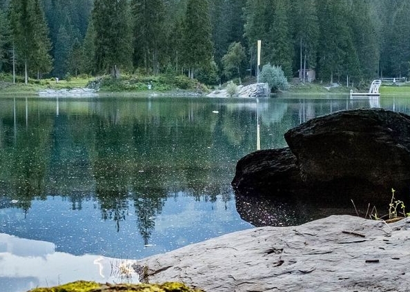 粉象生活粉丝怎么增加