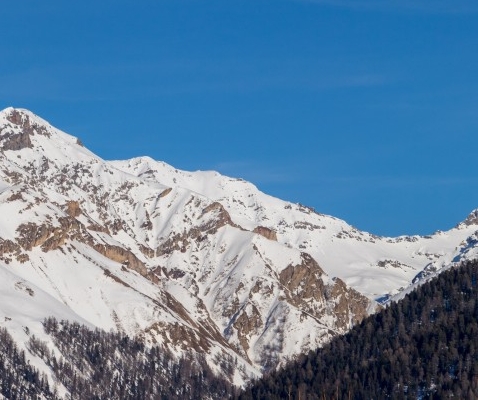 粉象生活邀请码等级