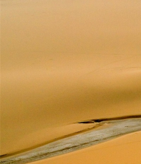 河南粉象生活推广