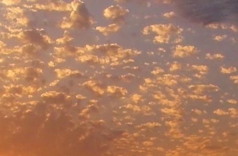 粉象生活能赚到钱吗