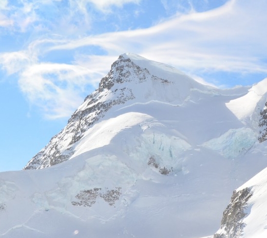粉象生活邀请码