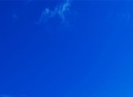 粉象生活软件下载