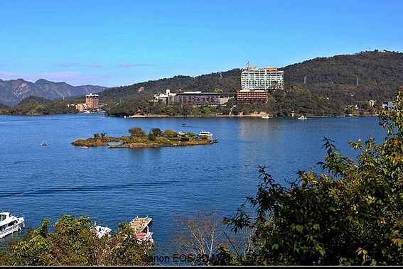 粉象生活下载app