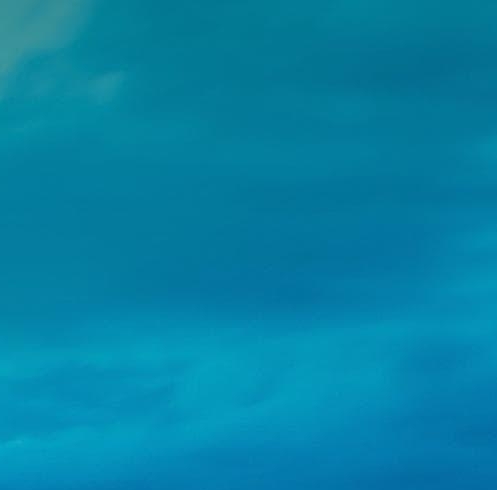 粉象生活哪里注册