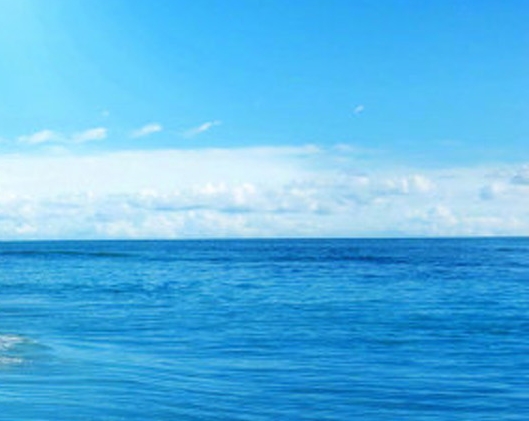 粉象生活是干嘛的APP