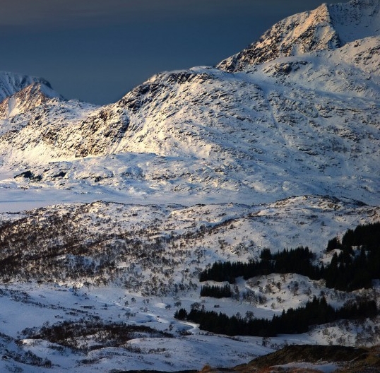 粉象生活粉丝怎么增加