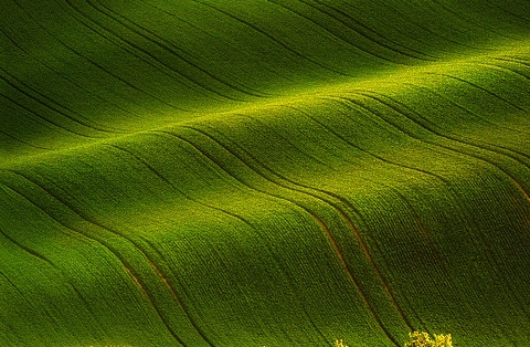 粉象生活必须要买会员吗
